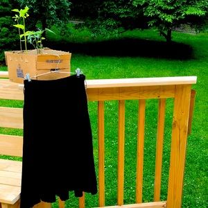 Lovely black velvet a-line Rosecrest NY skirt